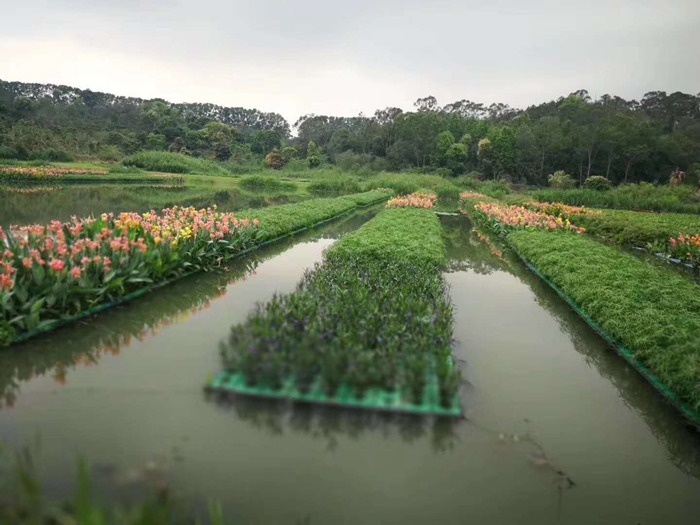 浮岛种植